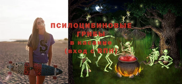 mdpv Киреевск