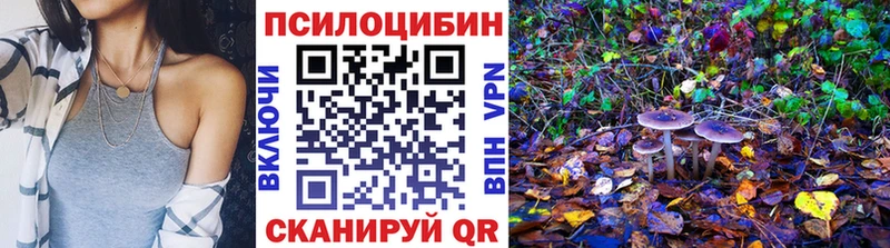 Купить где  Железногорск-Илимский  Галлюциногенные грибы MAGIC MUSHROOMS 